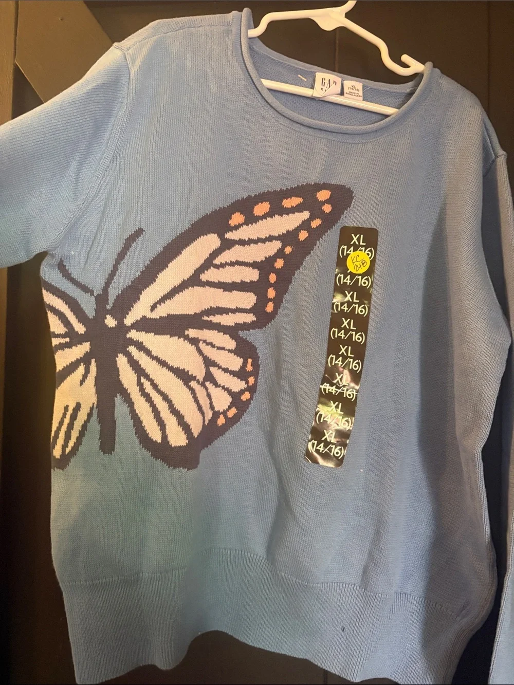 GAP Light Blue Butterfly Knit Sweater